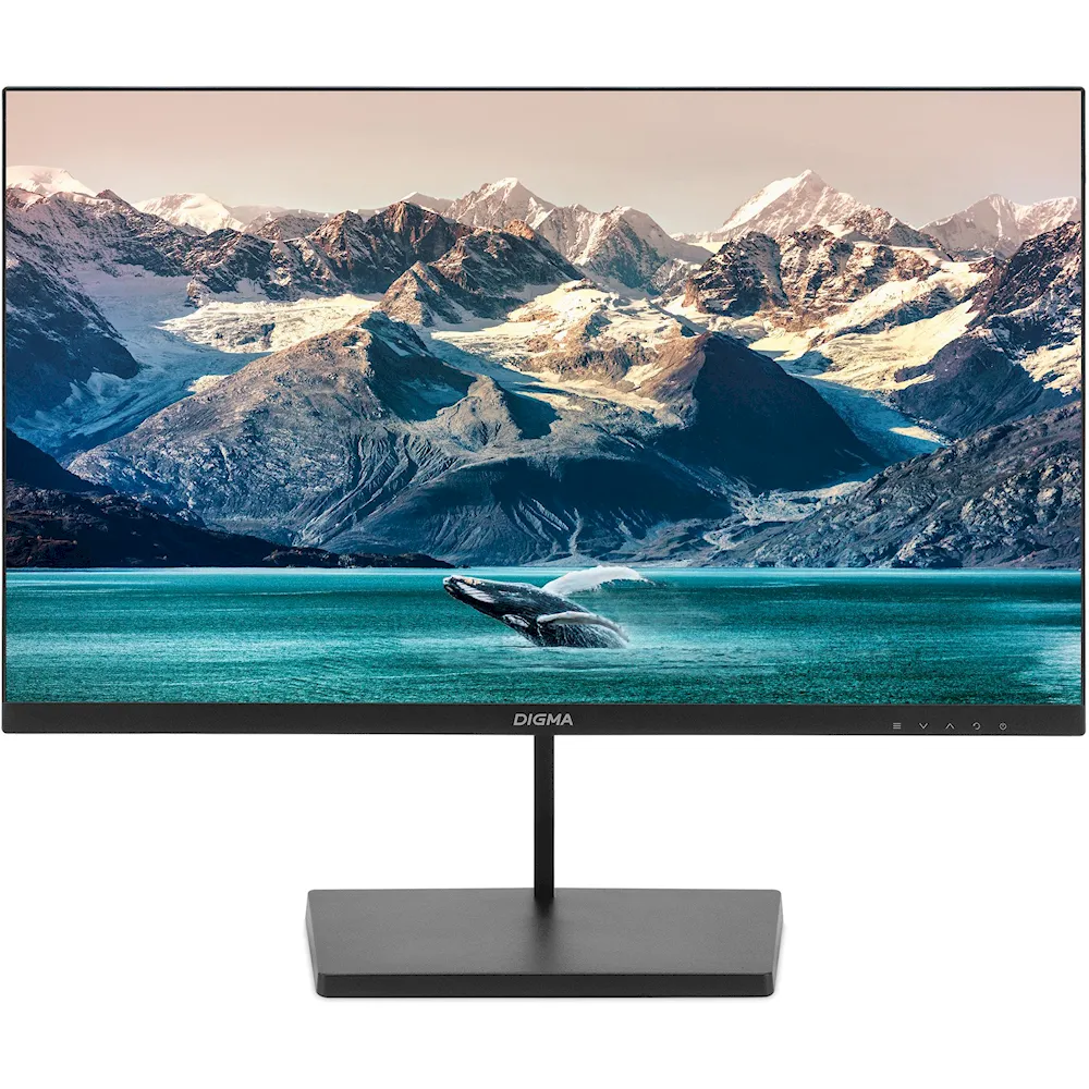 Full HD монитор DIGMA Progress 24P501F (DM24SB01)