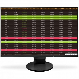 WUXGA монитор Eizo FlexScan EV2456